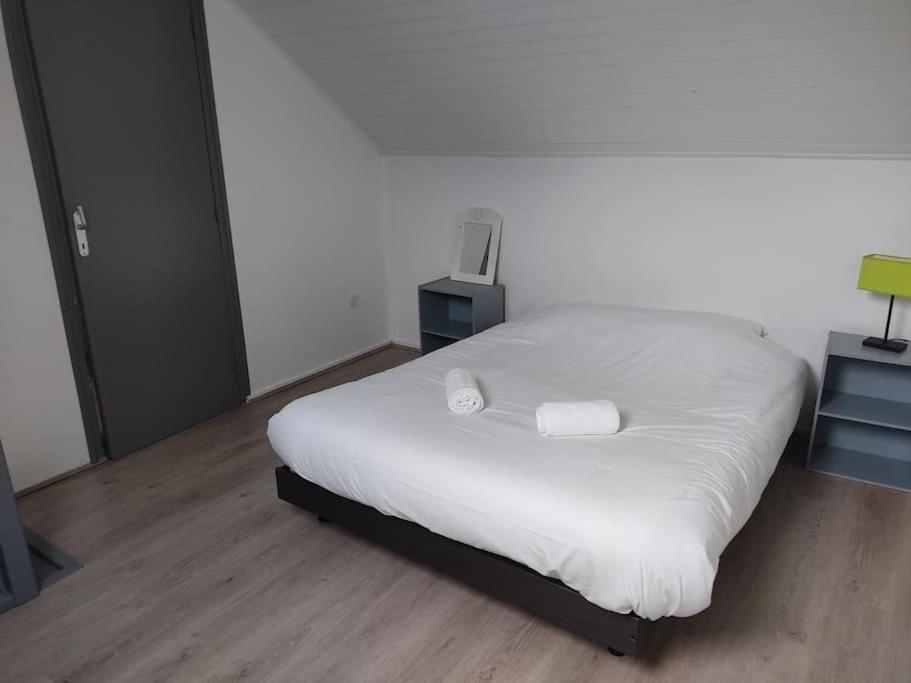 Appartement Duplex Avec Garage Annecy Centre Et Lac 외부 사진